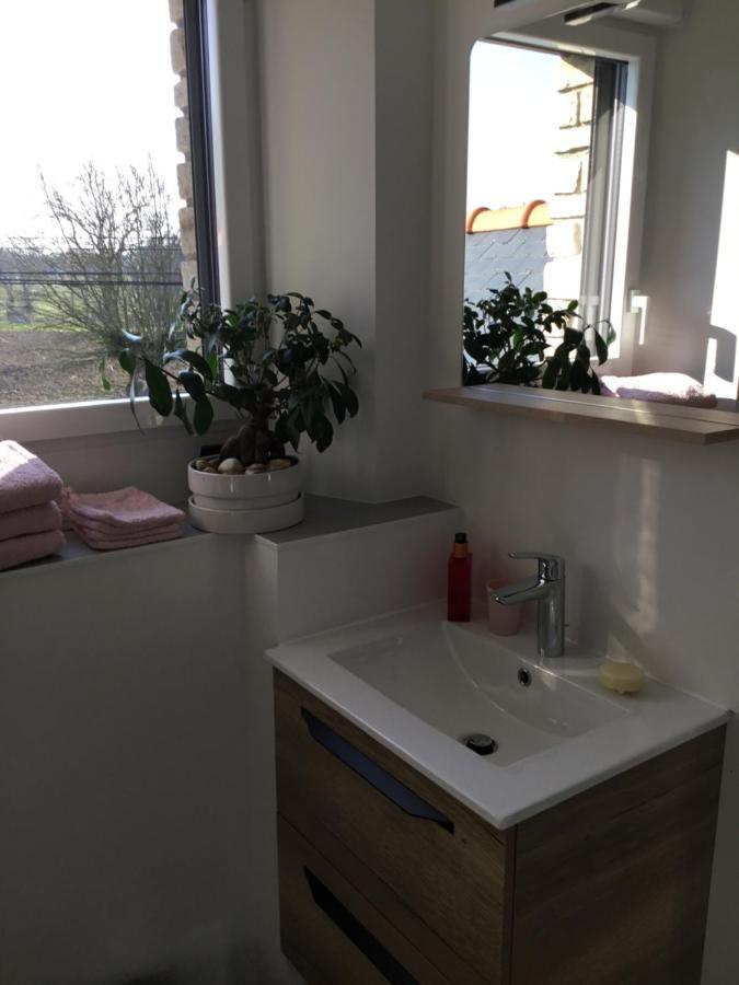 Appartement La Malvrais à Janzé Extérieur photo