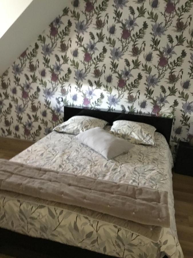 Appartement La Malvrais à Janzé Extérieur photo